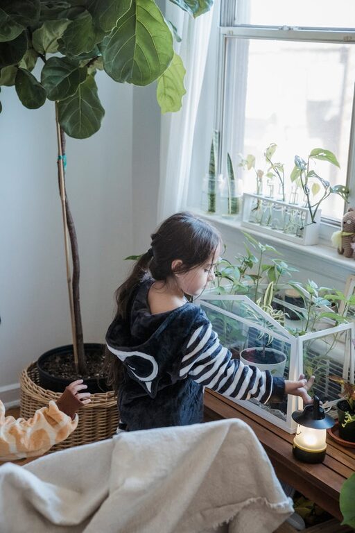 How to Refresh Your Home with Plants: Easy Tips for a Greener Space
